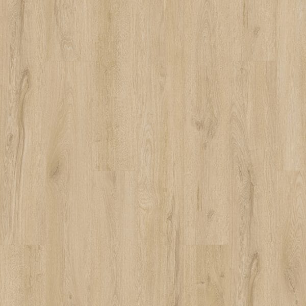 In-stock Specials - Karastan Artisan Reserve Bellini | Giant Commercial Flooring