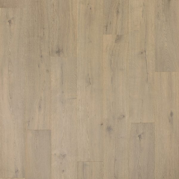 Luxury Vinyl Plank - PureTech Plus Native Ridge Talc Oak | Giant Commercial Flooring