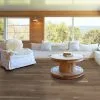 Floorte - Fresh Take 1051V Truffle | Giant Commercial Flooring