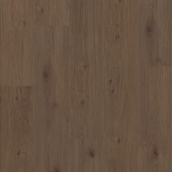 Floorte - Fresh Take 3415V Tuxedo Bronze | Giant Commercial Flooring