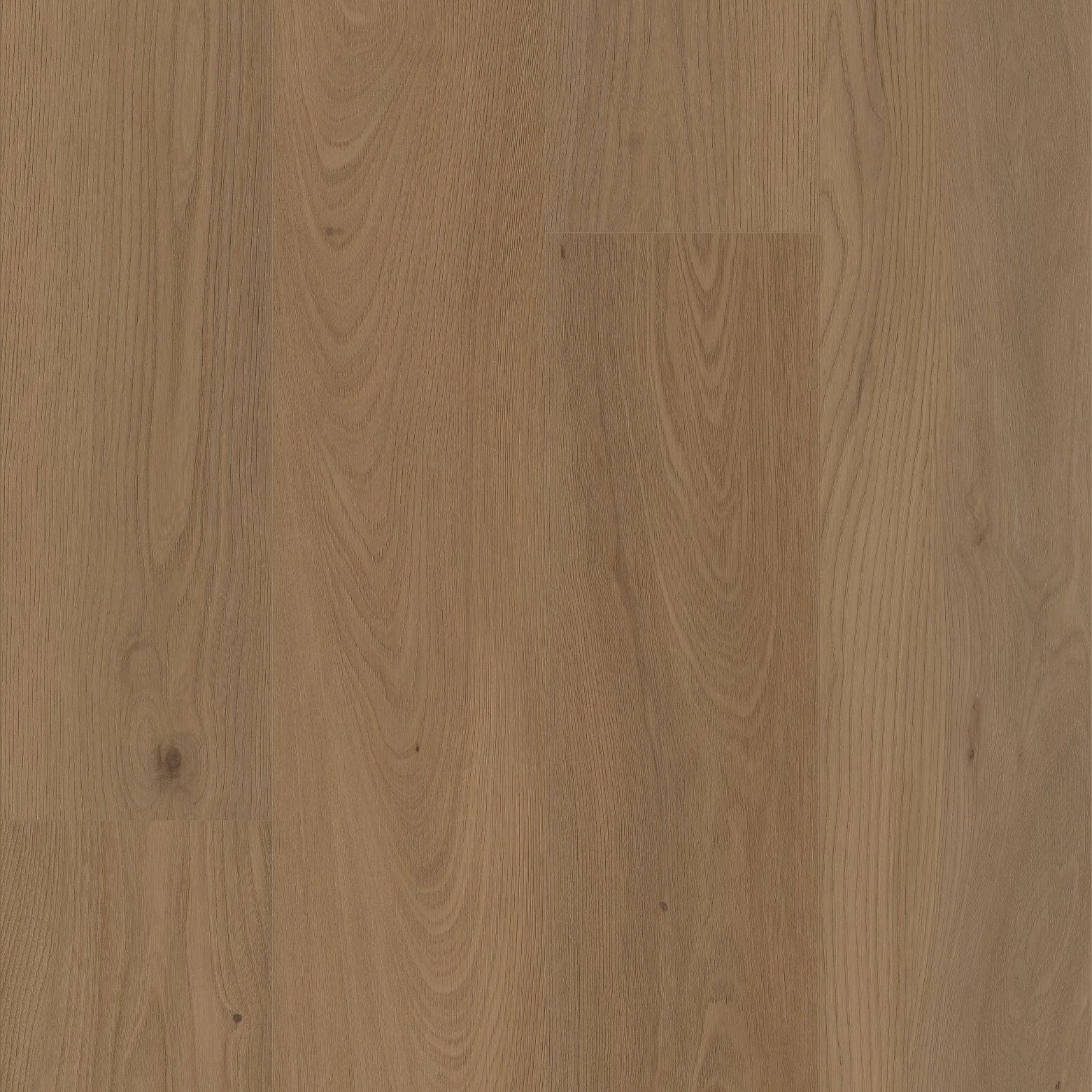 VV491 COREtec Pro Plus XL Enhanced San Marino Elm - Ottawa