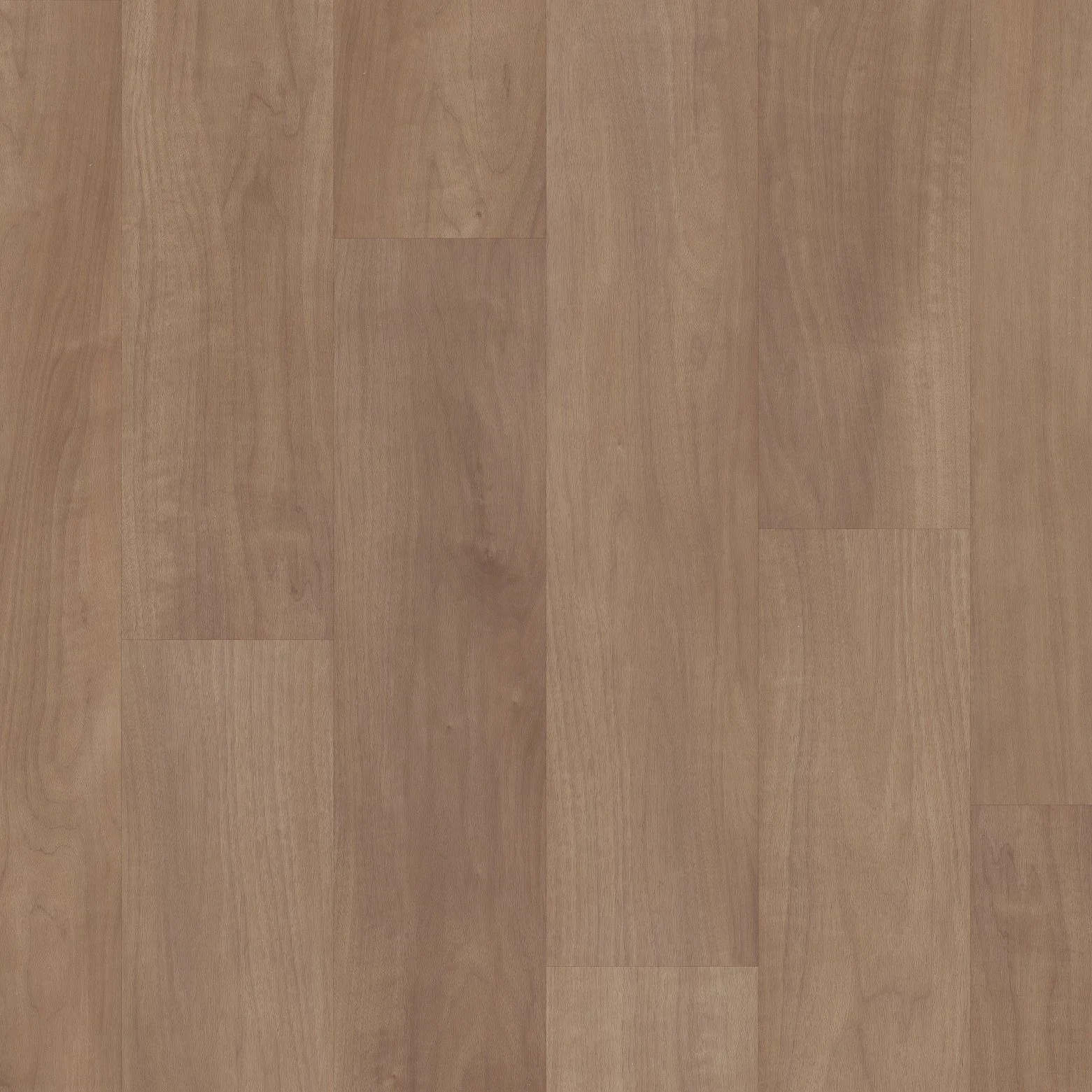 COREtec - VV820 COREtec Premium Tawny Beech | Giant Commercial Flooring