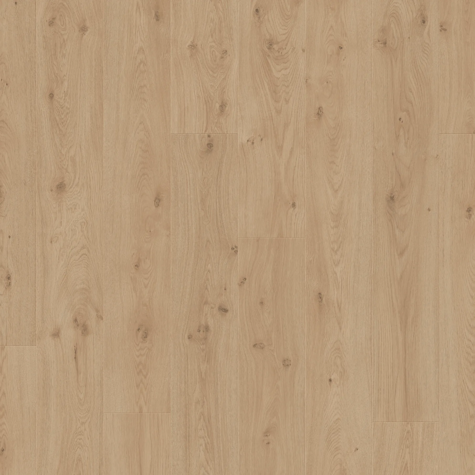 Laminate - Grand View Midas Oak | Giant Commercial Flooring