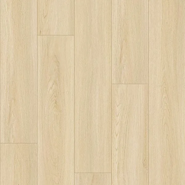 Laminate - Excellence 12mm Aster | Giant Commercial Flooring