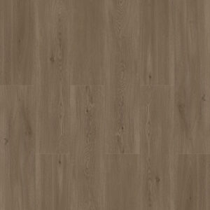 Laminate - Solidarity Stampede | Giant Commercial Flooring