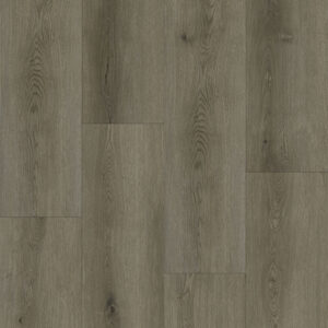 Richmond - Synergy Plank Castle Gate | Giant Commercial Flooring