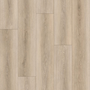 Richmond - Synergy Plank Early Dawn | Giant Commercial Flooring