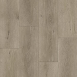 Richmond - Synergy Premium Dove | Giant Commercial Flooring