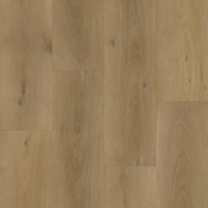 Richmond - Synergy Premium XL Champagne | Giant Commercial Flooring
