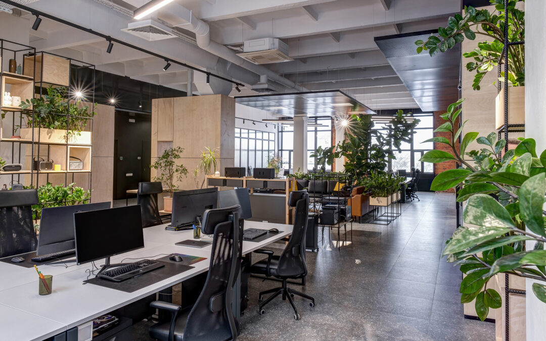 Luxury Vinyl Plank - LVP vs. LVT: Unpacking the Differences to Find Your Perfect Luxury Vinyl Match | Giant Commercial Flooring