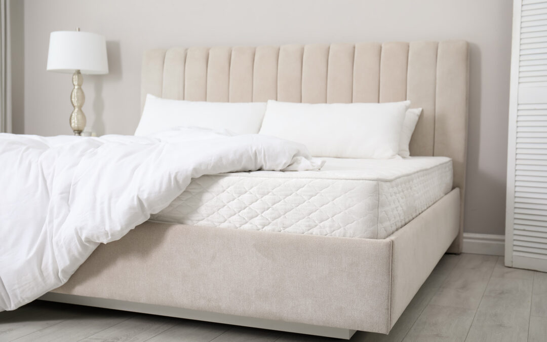 Flooring - Beyond the Basic Beige: Exploring Modern Carpet Flooring Trends for 2025 | Giant Commercial Flooring