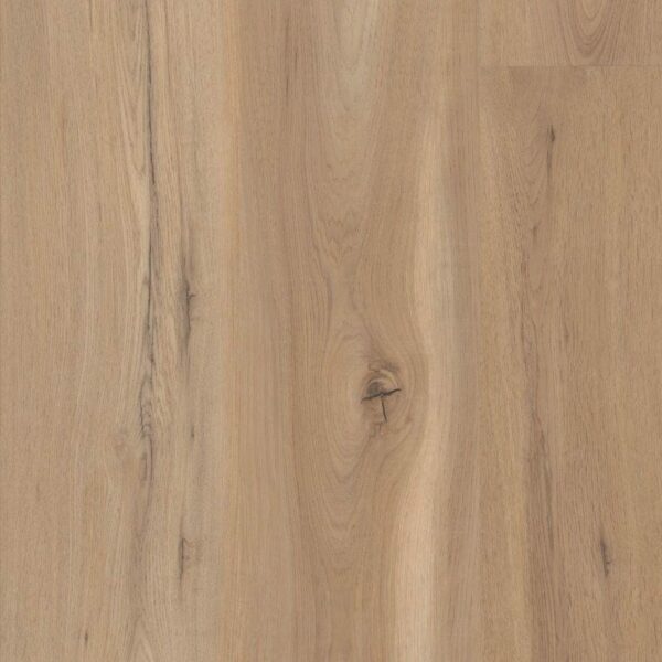 In-stock Specials - VV810 COREtec Premium 9" Blonde Oak | Giant Commercial Flooring