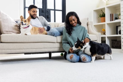 Pet Perfect Carpet | Giant Commercial Flooring