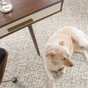 Home | Giant Commercial Flooring