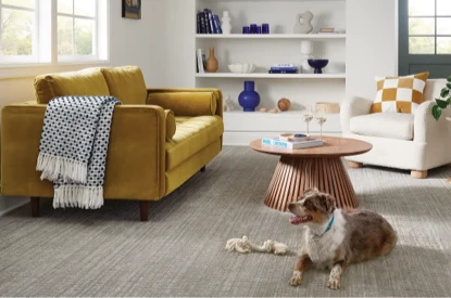 Pet Perfect Carpet | Giant Commercial Flooring