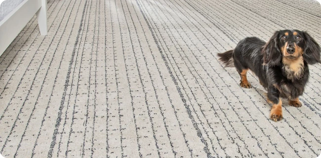 Mohawk Flooring | Giant Commercial Flooring