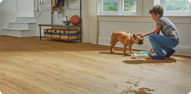 Mohawk Flooring | Giant Commercial Flooring