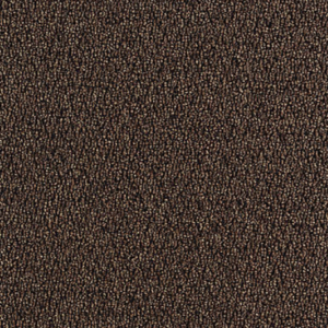 Carpet Tile Walk Right Up Walnut Aladdin Carpet Tile - Walk The Walk Walnut | Giant Commercial Flooring