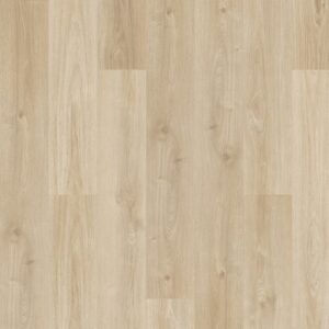 Karastan Flooring by Mohawk - Karastan Windham Shores Asher | Giant Commercial Flooring