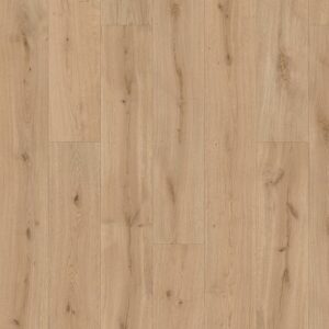Laminate - Karastan Belhancourt Cashmere Clay Oak | Giant Commercial Flooring