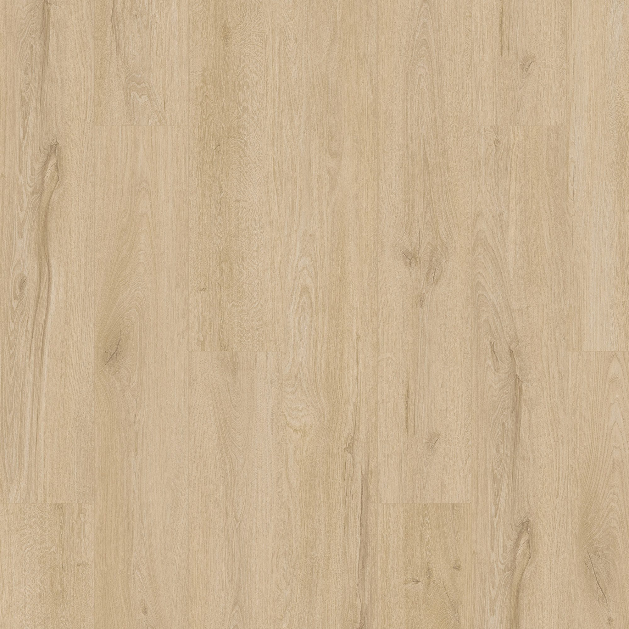Karastan Flooring by Mohawk Karastan Artisan Reserve Bellini Karastan Karastan Flooring by Mohawk - Karastan Artisan Reserve Bellini | Giant Commercial Flooring