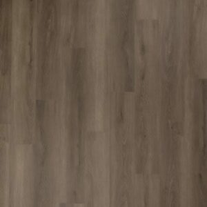 Aladdin - Aladdin Bentwood 5.0 Rutledge | Giant Commercial Flooring