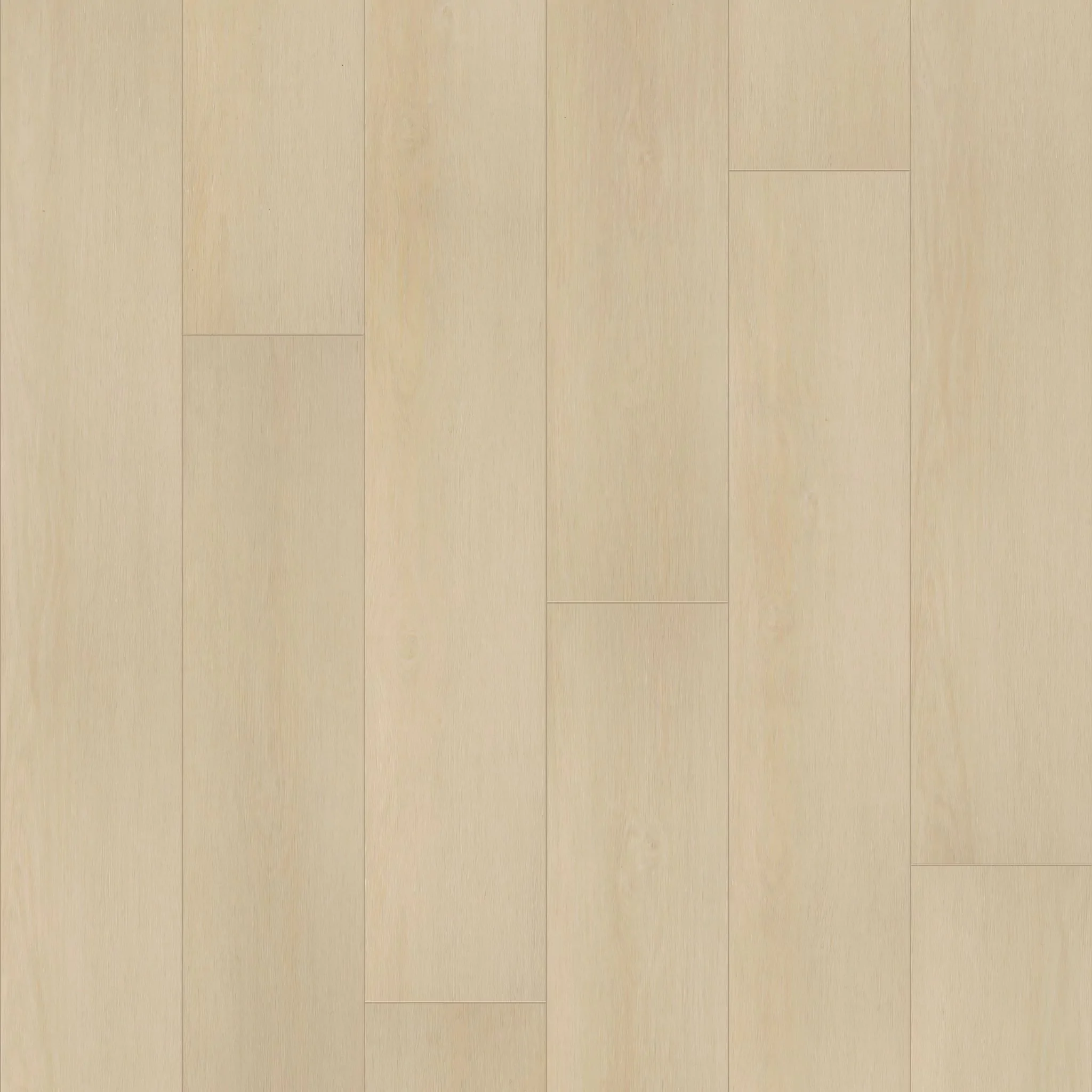 COREtec - CR501 COREtec Premium Champagne Mist Oak | Giant Commercial Flooring