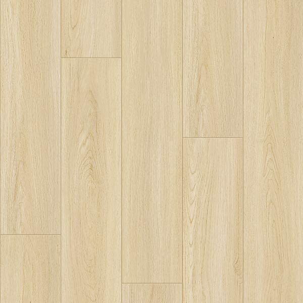 Laminate - Excellence 12mm Aster | Giant Commercial Flooring
