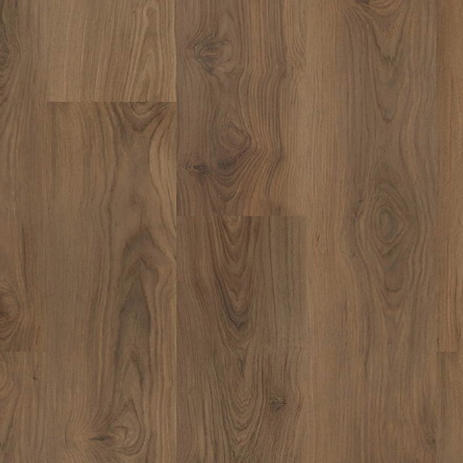 In-stock Specials - SolidTech Plus Barker Hollow Ranger | Giant Commercial Flooring