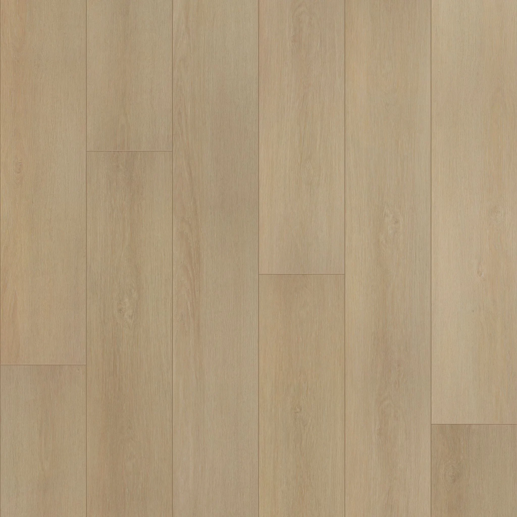 COREtec - CR501 COREtec Premium Soft Cashmere Oak | Giant Commercial Flooring